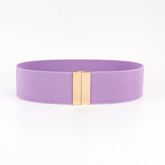 Alloy Buckle Elastic Belt