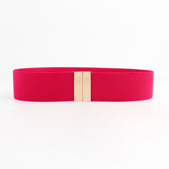 Alloy Buckle Elastic Belt