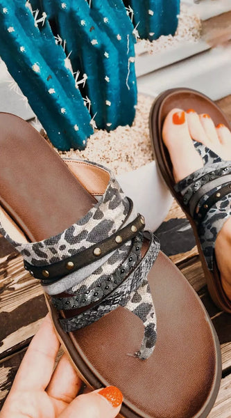 66a6f631-c01f-405c-980e-581a8cb58059-Max-Origin