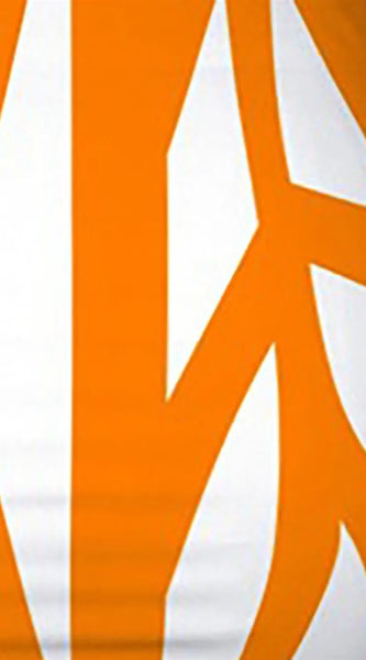 6ce81ff9-753f-4feb-a76a-149e953bd4e3-Max