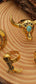 8ea98e4f-3232-43ef-8fa4-7e7ee9b30fe9-Max-Origin