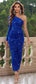 One-Shoulder Long Sleeve Dress