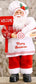 Santa  Claus Gnome