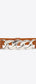 Chain Detail Elastic Belt