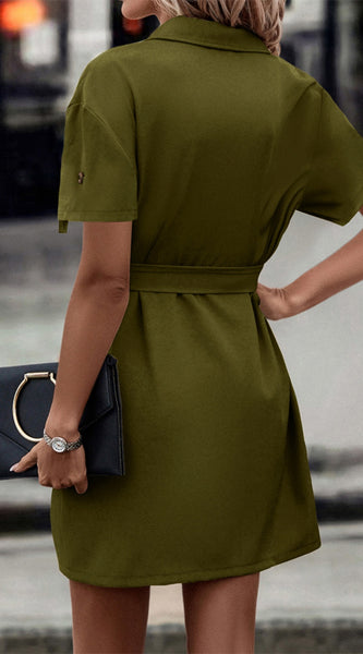 Tie Waist Collared Dress