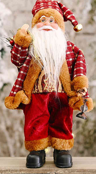 Santa  Claus Gnome