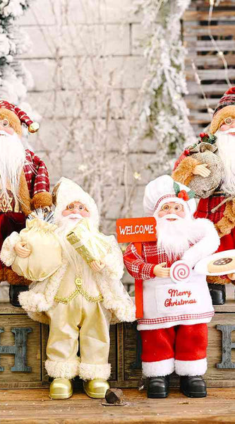 Santa  Claus Gnome